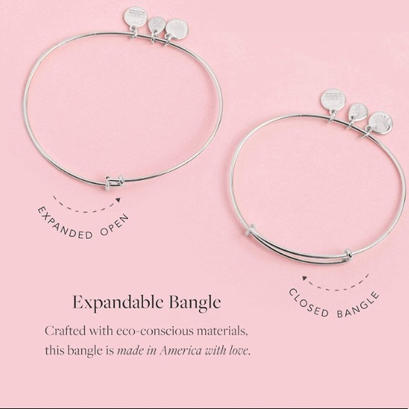 Alex and Ani Sending Hugs Just Because Charm Bangle - Picture 7 of 10
